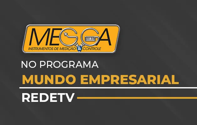 Megga Instrumentos no Mundo Empresarial: Experiência de inovação