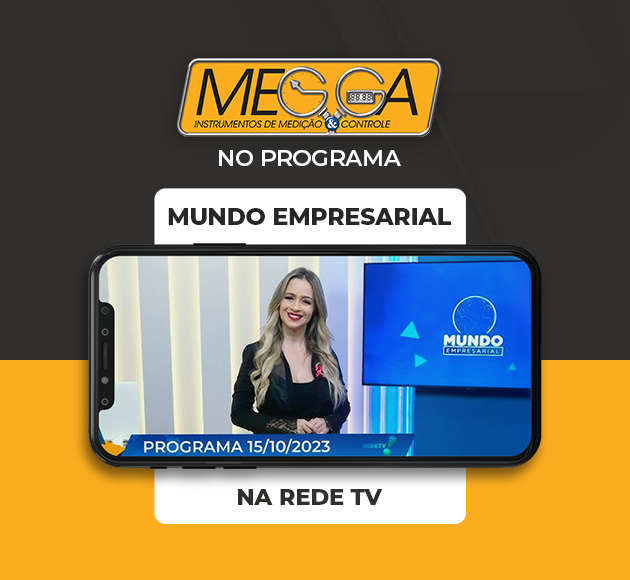Megga Instrumentos no Mundo Empresarial: Experiência de inovação